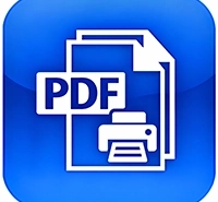 Icon PDF Print